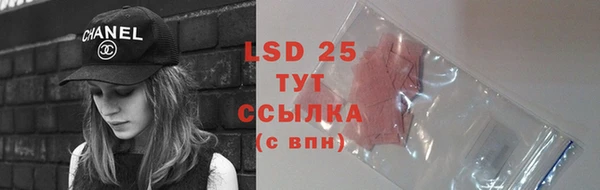 ПСИЛОЦИБИНОВЫЕ ГРИБЫ Ступино