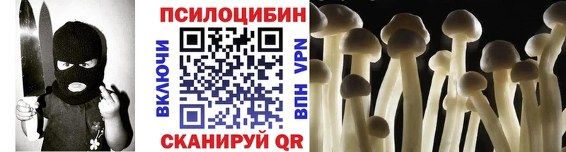 мориарти клад  Шумиха  Галлюциногенные грибы GOLDEN TEACHER 